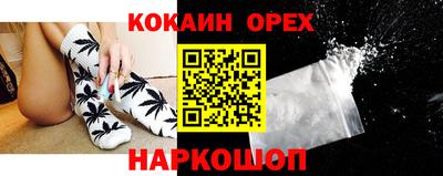 трава Сланцы