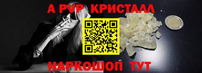шишки Славгород