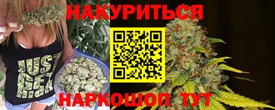 шишки Славгород