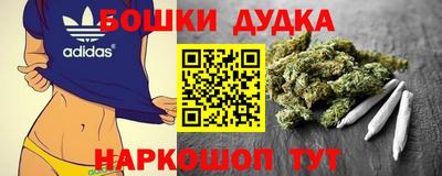 трава Сланцы