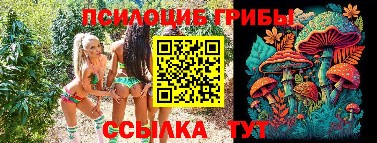 Псилоцибиновые грибы прущие грибы Богородск